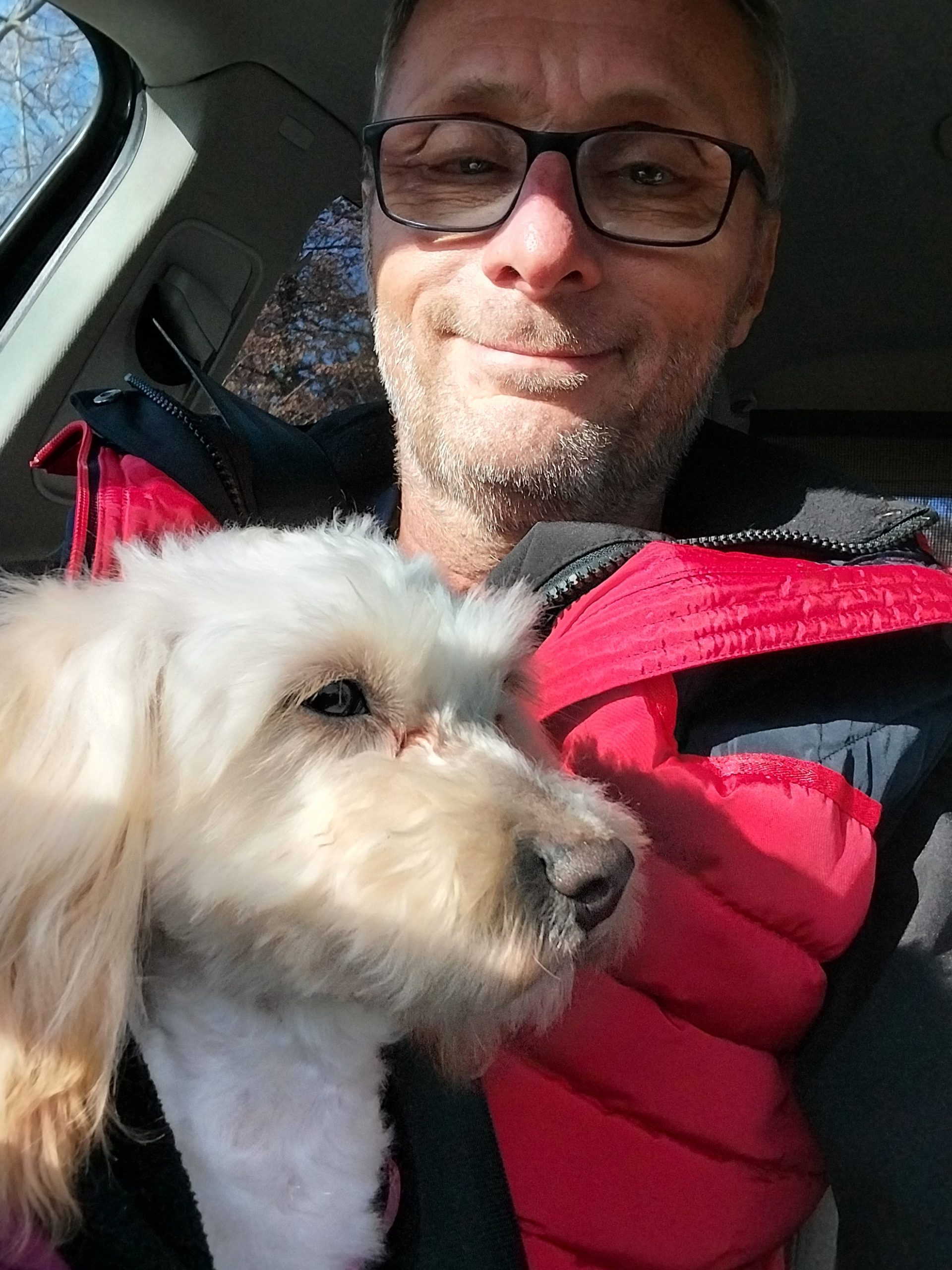 Önkéntesség: Az állatvédelem Szíve és Lelke! 