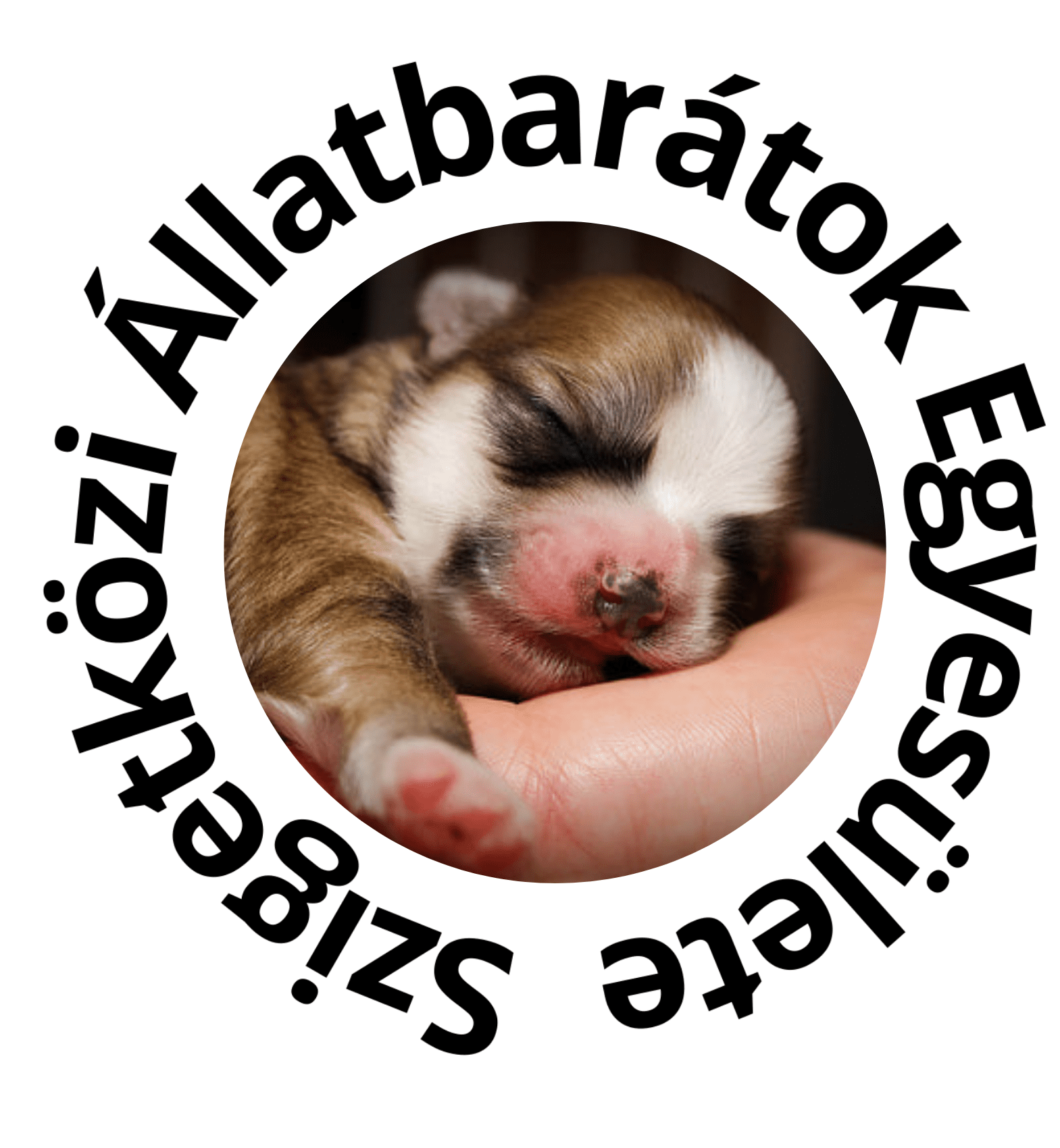 Szigetközi Állatbarátok Egyesülete